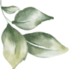 gr-leaf-04